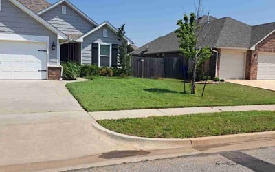 Photo of Margie O.'s yard after getting lawn care in Arvada, CO