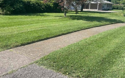 Photo of Alex F.'s yard after getting lawn care in Taylorsville, KY