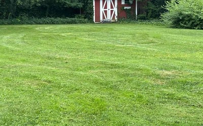 Photo of Kendall J.'s yard after getting lawn care in Apopka, FL