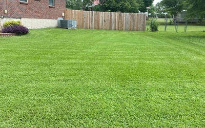 Photo of Shannon M.'s yard after getting lawn care in Athens, AL
