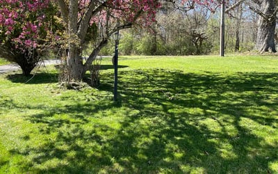 Photo of Monica R.'s yard after getting lawn care in Tunkhannock, PA