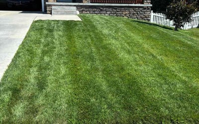Photo of Rodney A.'s yard after getting lawn care in Atlanta, GA