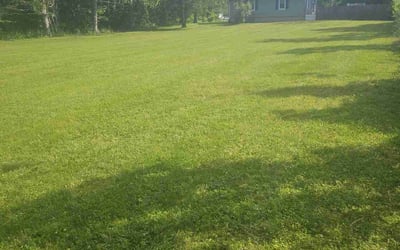 Photo of Kyle H.'s yard after getting lawn care in Spring Valley, NY