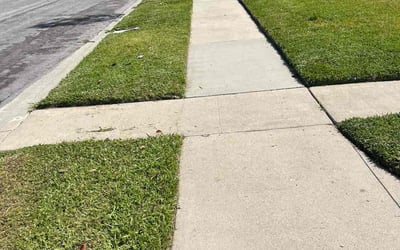 Photo of Michelle L.'s yard after getting lawn care in Norwalk, CA