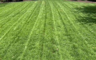 Photo of Kayley B.'s yard after getting lawn care in Beaver, PA