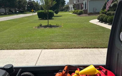 Photo of Wendy I.'s yard after getting lawn care in Florence, KY