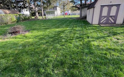 Photo of Ed M.'s yard after getting lawn care in Brook Park, OH