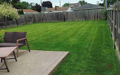 Photo of Theresa T.'s yard after getting lawn care in Fletcher, NC