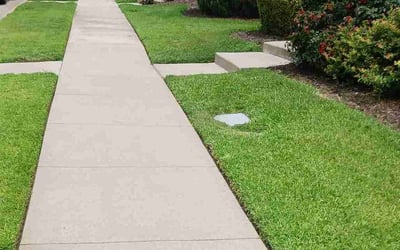 Photo of Adam B.'s yard after getting lawn care in Sanger, TX