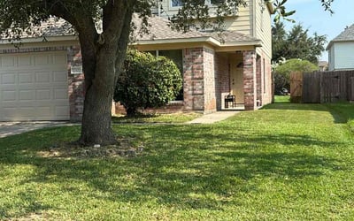 Photo of Cecily D.'s yard after getting lawn care in New Orleans, LA