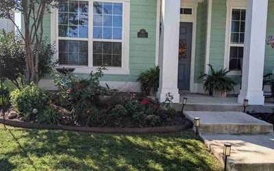 Photo of Peter V.'s yard after getting tree care in Addison, TX