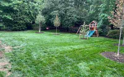 Photo of John D.'s yard after getting lawn care in Battle Creek, MI