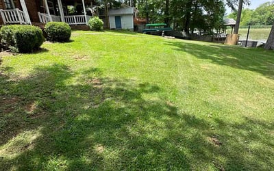Photo of James S.'s yard after getting lawn care in Mcdonough, GA