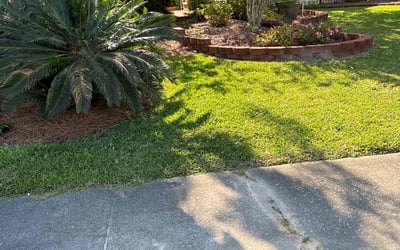 Photo of Hughes U.'s yard after getting lawn care in Knoxville, TN