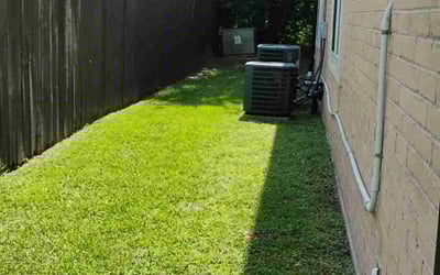Photo of Ivy L.'s yard after getting lawn care in Garden Grove, CA