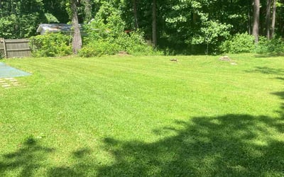 Photo of Jerry D.'s yard after getting lawn care in St. Louis, MO