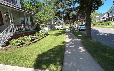 Photo of Farhan K.'s yard after getting lawn care in Leesburg, VA