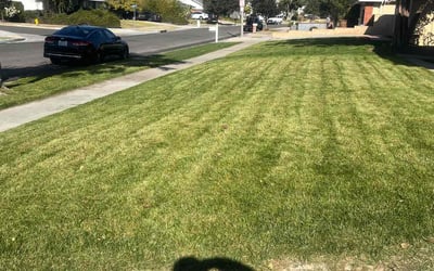 Photo of Amber S.'s yard after getting lawn care in Fullerton, CA