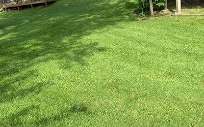 Photo of Felicia A.'s yard after getting lawn care in Tunkhannock, PA