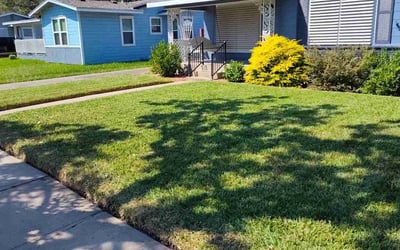 Photo of Brian G.'s yard after getting lawn care in Corpus Christi, TX