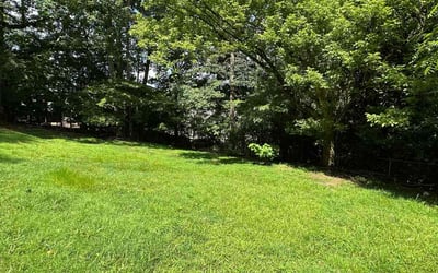 Photo of Andrew H.'s yard after getting lawn care in Hot Springs, AR