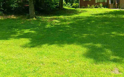 Photo of Matthew D.'s yard after getting lawn care in Griffin, GA