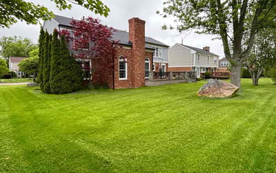 Photo of Joanette D.'s yard after getting lawn care in Sayreville, NJ