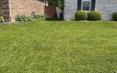 Photo of Jamie K.'s yard after getting lawn care in Albany, NY