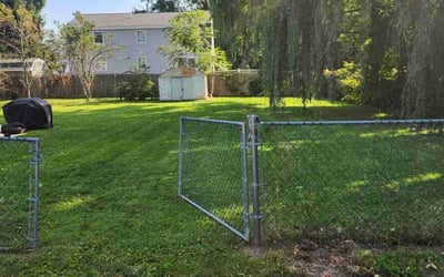Photo of Liz B.'s yard after getting lawn care in Lowell, MA