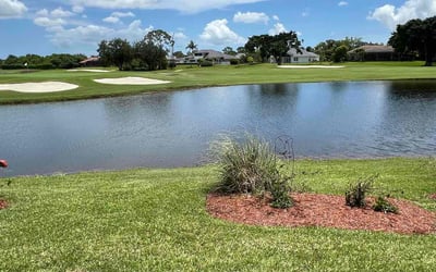 Photo of Alex C.'s yard after getting lawn care in Clanton, AL