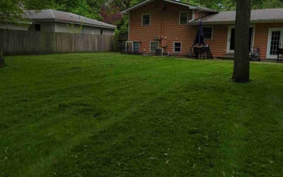 Photo of Angel T.'s yard after getting lawn care in Portage, IN
