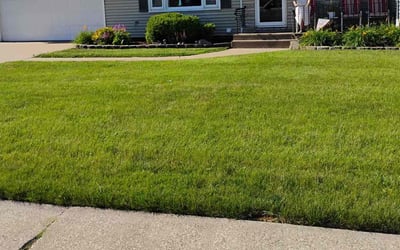Photo of Joanne N.'s yard after getting lawn care in Flagler Beach, FL