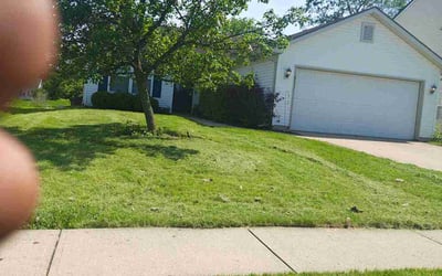 Photo of Carol O.'s yard after getting lawn care in Cicero, NY
