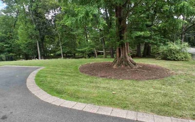 Photo of Cheryl E.'s yard after getting lawn care in Mahwah, NJ