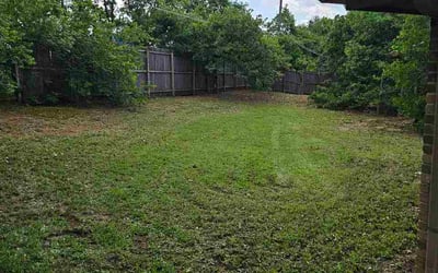 Photo of Darlene S.'s yard after getting lawn care in Surprise, AZ