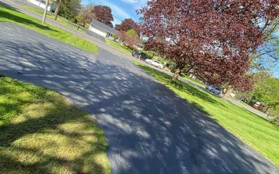 Photo of Melissa S.'s yard after getting lawn care in Woodside, NY