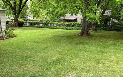 Photo of Pj T.'s yard after getting lawn care in Pelzer, SC