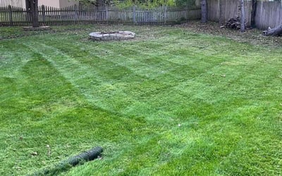 Photo of Jan C.'s yard after getting lawn care in Round Lake Beach, IL