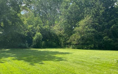 Photo of Robert H.'s yard after getting lawn care in Greendale, WI