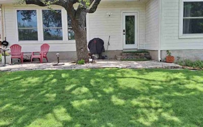 Photo of Brandon R.'s yard after getting lawn care in San Antonio, TX