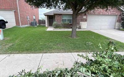 Photo of Breanna B.'s yard after getting lawn care in Mill Valley, CA