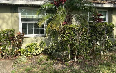 Photo of Enrique C.'s yard after getting tree care in Lake Geneva, FL