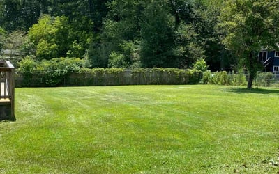 Photo of Melissa Y.'s yard after getting lawn care in Riverdale, GA