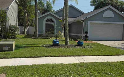Photo of Troy H.'s yard after getting lawn care in Orlando, FL