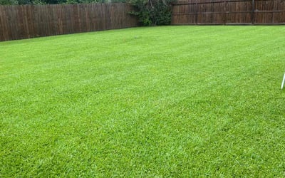 Photo of Allen A.'s yard after getting lawn care in Bear, DE