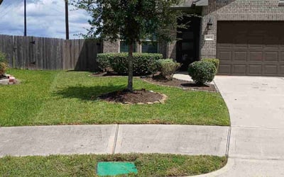 Photo of Cindy Z.'s yard after getting tree care in Jackson, MI
