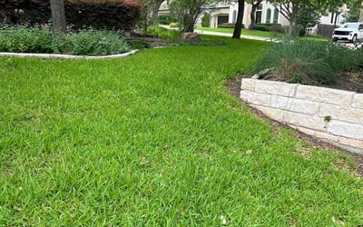 Photo of Chad B.'s yard after getting lawn care in South Yarmouth, MA