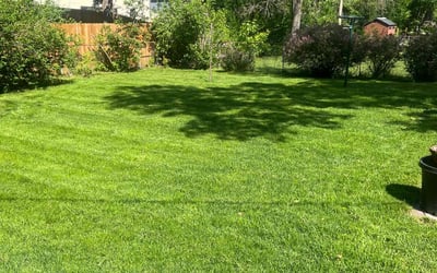 Photo of Wendi L.'s yard after getting lawn care in New Brighton, MN