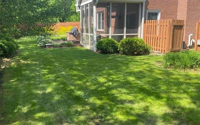 Photo of Dario M.'s yard after getting lawn care in Warwick, RI