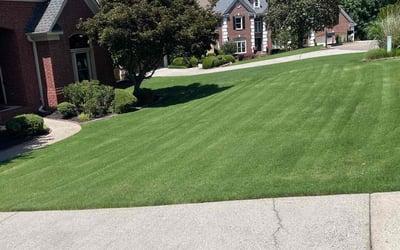 Photo of Jaqulyn S.'s yard after getting lawn care in Detroit, MI